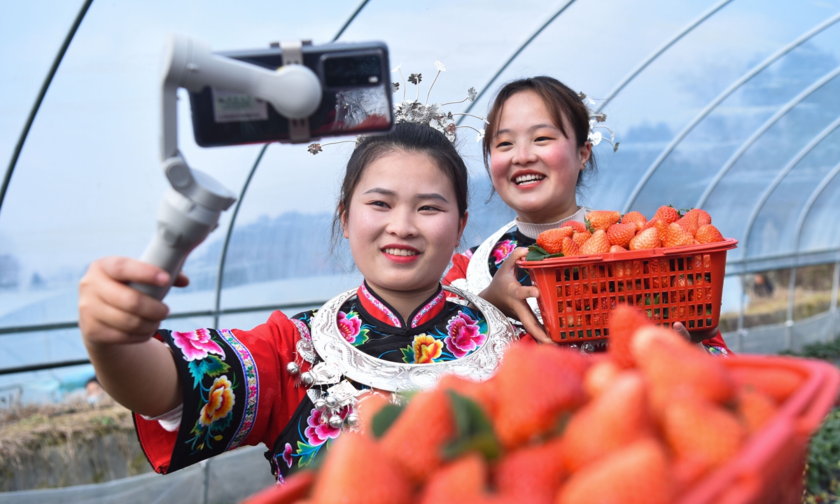 College students return to their native village livestream a strawberry sale in Songtao Miao autonomous county, in Southwest China's Guizhou Province. Photo: VCG