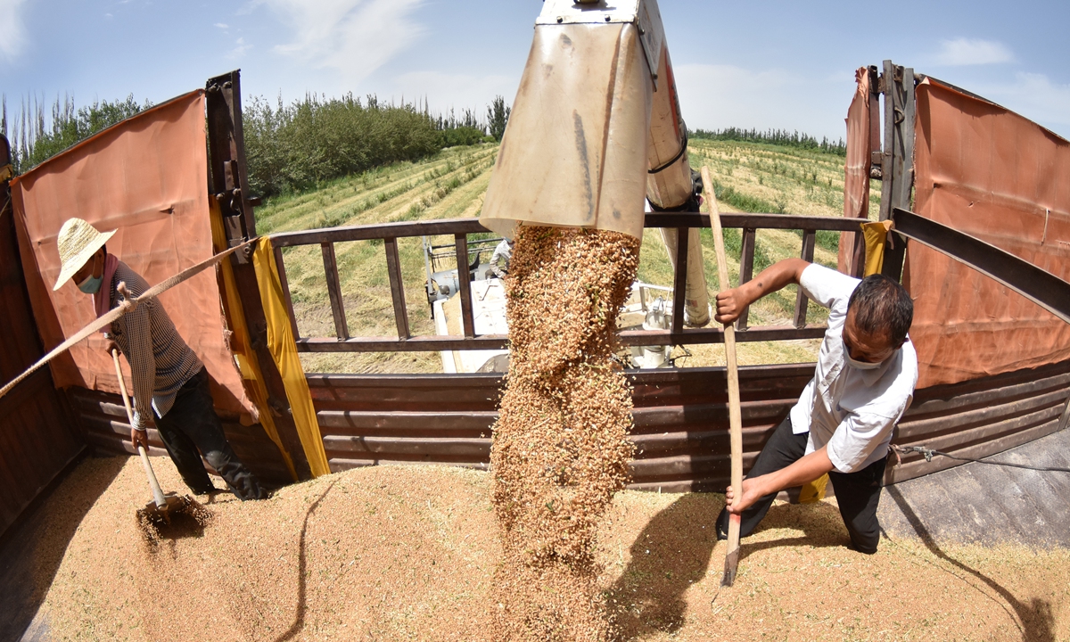 Farmers harvest winter wheat with agricultural machines in Northwest China's Xinjiang Uygur Autonomous Region on June 23, 2022. As of June 14, China had reaped 256 million mu (17.07 million hectares) of wheat, over 98 percent of which was machine-harvested, according to the Ministry of Agriculture and Rural Affairs. Photo: cnsphoto