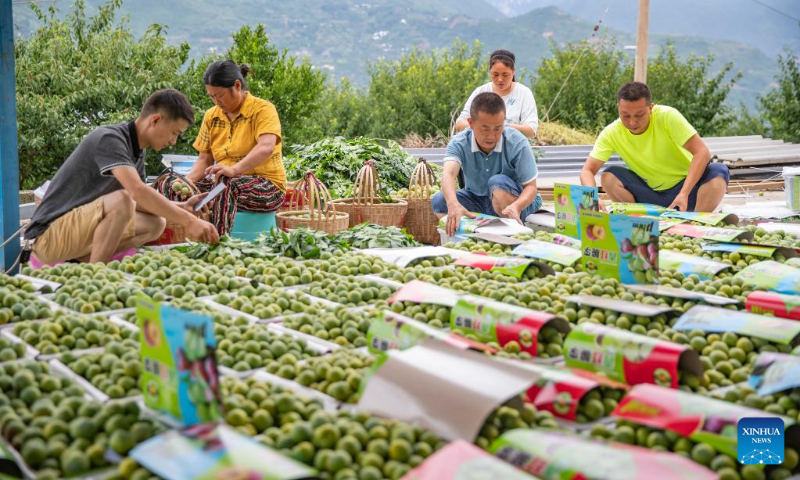 Villagers pack plums at Ganyuan Village in Wushan County, southwest China's Chongqing, July 2, 2022. (Xinhua/Huang Wei)