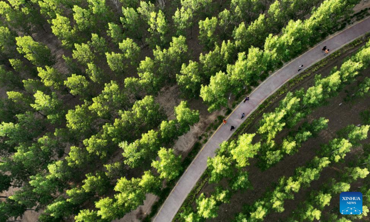 Aerial photo taken on July 9, 2022 shows people exercising at Jinshui River Wetland Park in Heyang County, northwest China's Shaanxi Province. Heyang County has made efforts in promoting ecological protection in recent years, with forest area reaching 775,000 mu (about 51,667 hectares) so far. Photo:Xinhua