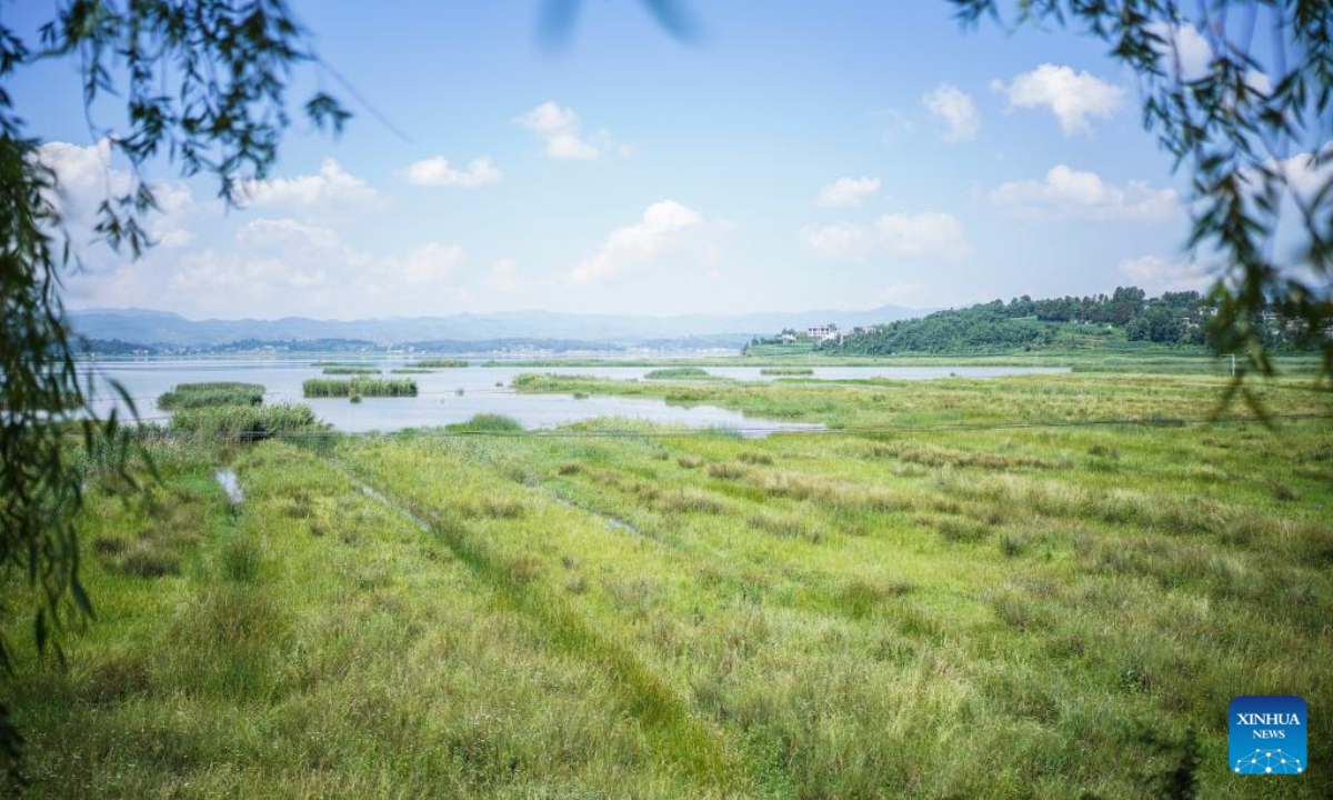 Aerial photo shows the Caohai National Nature Reserve in Weining Yi, Hui and Miao Autonomous County, southwest China's Guizhou Province, July 8, 2022. Photo:Xinhua