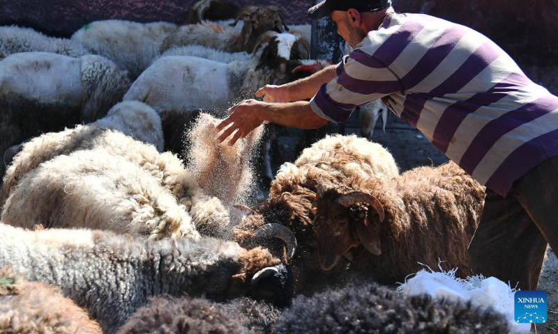 A man feeds sheep at a livestock market in Damascus, Syria, on July 9, 2022, the first day of the Eid al-Adha, or the Feast of Sacrifice. (Photo by Ammar Safarjalani/Xinhua)