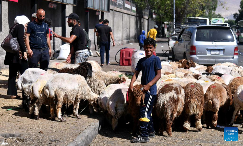 People are seen at a livestock market in Damascus, Syria, on July 9, 2022, the first day of the Eid al-Adha, or the Feast of Sacrifice. (Photo by Ammar Safarjalani/Xinhua)