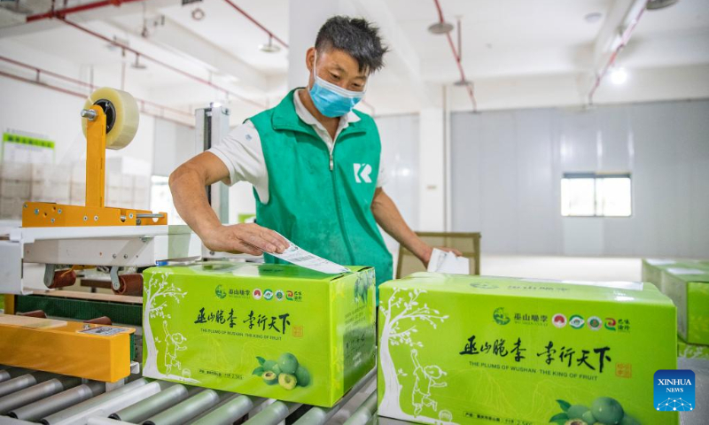 A worker attaches delivery scripts onto boxes of packed plums at a production and storage depot in Wushan County, southwest China's Chongqing, July 2, 2022. (Xinhua/Huang Wei)