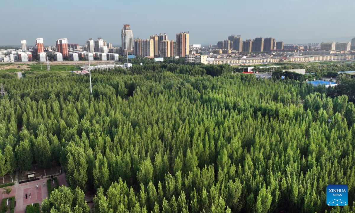 Aerial photo taken on July 9, 2022 shows people exercising at Jinshui River Wetland Park in Heyang County, northwest China's Shaanxi Province. Heyang County has made efforts in promoting ecological protection in recent years, with forest area reaching 775,000 mu (about 51,667 hectares) so far. Photo:Xinhua