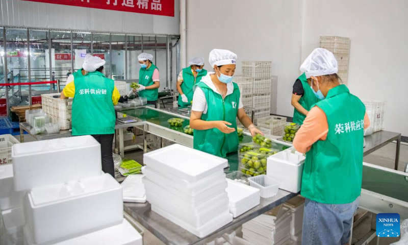 Workers pack plums at a production and storage depot in Wushan County, southwest China's Chongqing, July 2, 2022. (Xinhua/Huang Wei)