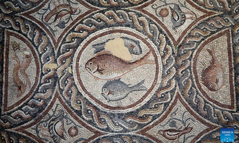 Part of the Lod mosaic is pictured at the Lod Mosaic Archaeological Center in Lod, a city east of Tel Aviv in central Israel, July 4, 2022. The Lod Mosaic Archaeological Center was built to exhibit the unique mosaics dating from the Roman period.(Photo: Xinhua)