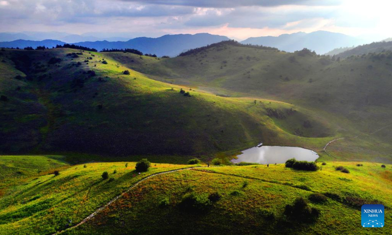 Aerial photo shows the grassland scenery of Bashan Mountain in Langao County, northwest China's Shaanxi Province, July 13, 2022. (Xinhua/Tao Ming)