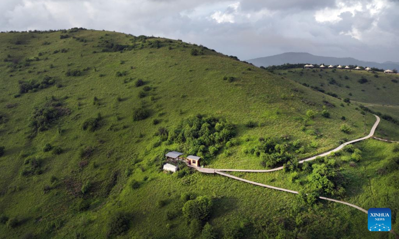 Aerial photo shows the grassland scenery of Bashan Mountain in Langao County, northwest China's Shaanxi Province, July 13, 2022. (Xinhua/Tao Ming)