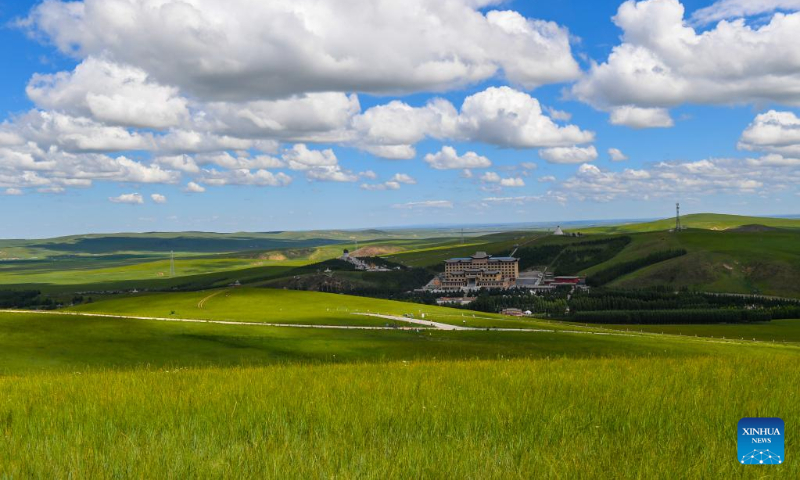 Photo taken on July 19, 2022 shows the grassland in West Ujimqin Banner of Xilingol League, north China's Inner Mongolia Autonomous Region. (Xinhua/Peng Yuan)