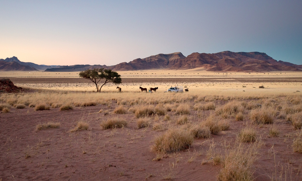 Desert homestead in Namibia with horses and riders Photo: VCG