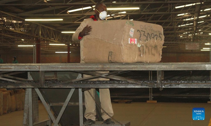 A worker processes a tobacco bale at the Tobacco Auction Floors in Harare, Zimbabwe, on July 19, 2022. The tobacco auction season, which started in March, closed on Wednesday, with more than 180 million kg of the golden leaf having been sold at an average price of 3.04 dollars per kg.(Photo: Xinhua)