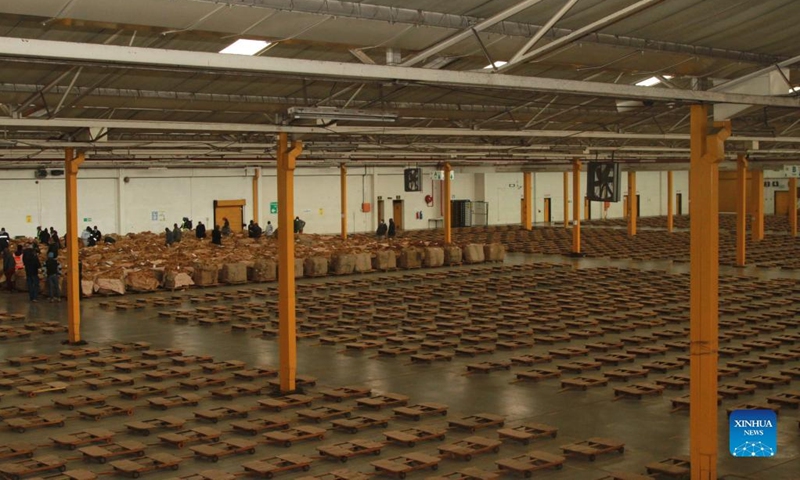 Empty carts are seen at the Tobacco Auction Floors in Harare, Zimbabwe, on July 19, 2022. The tobacco auction season, which started in March, closed on Wednesday, with more than 180 million kg of the golden leaf having been sold at an average price of 3.04 dollars per kg.(Photo: Xinhua)