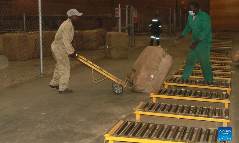 A worker carries a tobacco bale at the Tobacco Auction Floors in Harare, Zimbabwe, on July 19, 2022. The tobacco auction season, which started in March, closed on Wednesday, with more than 180 million kg of the golden leaf having been sold at an average price of 3.04 dollars per kg.(Photo: Xinhua)