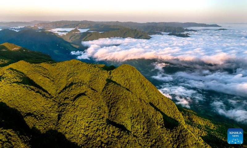 Aerial photo taken on July 23, 2022 shows a camping spot in Longtoushan scenic area in Hanzhong, northwest China's Shaanxi Province. (Xinhua/Tao Ming)