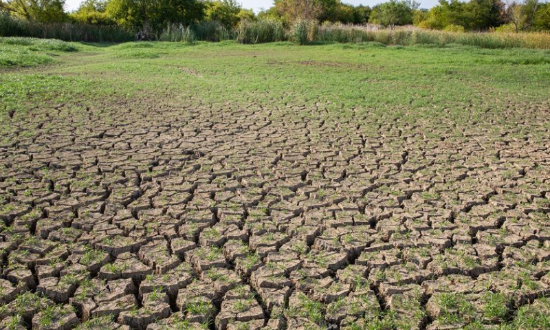 Photo taken on July 21, 2022 shows a cracked lake bottom of Lewisville lake in the Colony, Texas, the United States. Most parts of Texas have been experiencing extreme hot and dry weather since June. Besides causing physical discomfort and inconvenience, heat and drought has significantly strained water and power supplies in many localities.  Photo: Xinhua