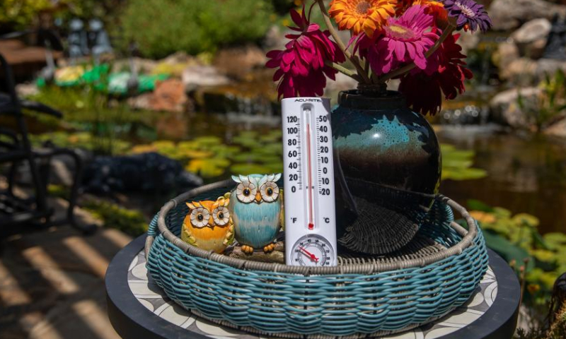 Photo taken on July 22, 2022 shows a thermometer seen at a residential backyard in Allen, Texas, the United States. Most parts of Texas have been experiencing extreme hot and dry weather since June. Besides causing physical discomfort and inconvenience, heat and drought has significantly strained water and power supplies in many localities.  Photo: Xinhua