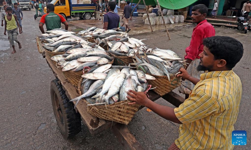 People unload Hilsa fish from boats at a fish landing station in Chattogram, Bangladesh, July 25, 2022. Bangladeshi fishermen on Monday restarted fishing in the coastal areas of the Bay of Bengal after a break of 65 days. Bangladesh banned fishing off its coast for 65 days from May 20 in order to help ensure the smooth breeding of fish and boost depleted fish stocks.(Photo: Xinhua)