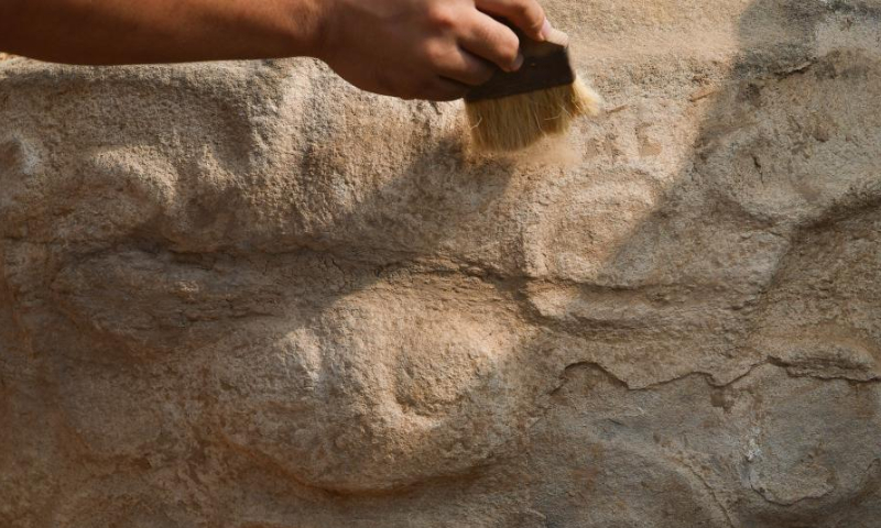 An archeologist cleans recently-excavated stone carvings at the Shimao ruins, an important prehistoric site in Shenmu City, northwest China's Shaanxi Province, Aug. 6, 2022. Photo: Xinhua