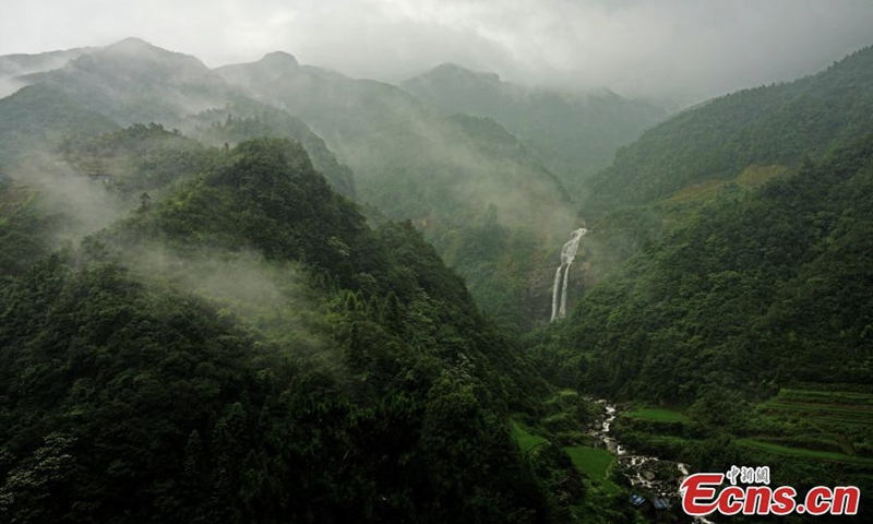 Aerial view of the Yuanbao mountain National Nature Reserve in Rongshui Miao autonomous county of Liuzhou city, south China's Guangxi Zhuang Autonomous Region, July 31, 2022. (Photo provided to China News Service)