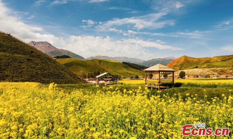 Magnificent summer scenery of Zhuo'er Mountain, which features Danxia landform, in Qilian county of Haibei Tibetan autonomous prefecture, northwest China's Qinghai Province. (Photo: China News Service/Zhao Haimei)