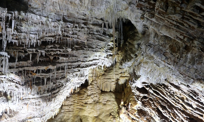 Photo taken on Aug. 3, 2022 shows a view of the Xinglong karst cave in Taojiatai Village of Xinglong County, north China's Hebei Province.(Photo: Xinhua)