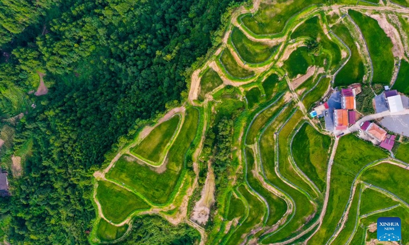 Aerial photo taken on Aug. 2, 2022 shows a view of Bayi Village in Wanzhou District of southwest China's Chongqing.(Photo: Xinhua)