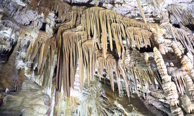 Photo taken on Aug. 3, 2022 shows a view of the Xinglong karst cave in Taojiatai Village of Xinglong County, north China's Hebei Province.(Photo: Xinhua)