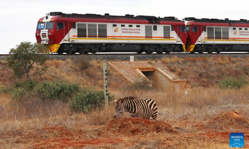 A zebra is seen next to a fence as a freight train runs on the Mombasa-Nairobi Railway track in Kenya, on July 28, 2022. The Chinese-built Mombasa-Nairobi Standard Gauge Railway (SGR) has just celebrated its fifth anniversary of safe operation.(Photo: Xinhua)