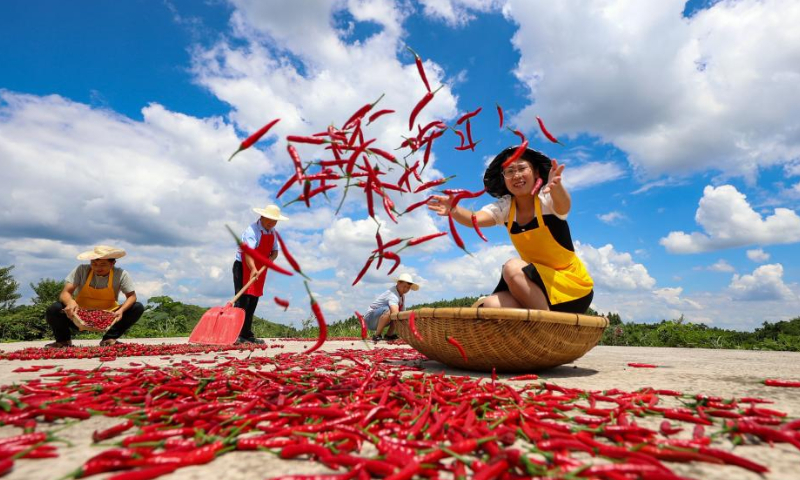 Villagers dry peppers at Baodong Village of Qiandongnan Miao and Dong Autonomous Prefecture, southwest China's Guizhou Province, on Aug. 13, 2022. Photo: Xinhua