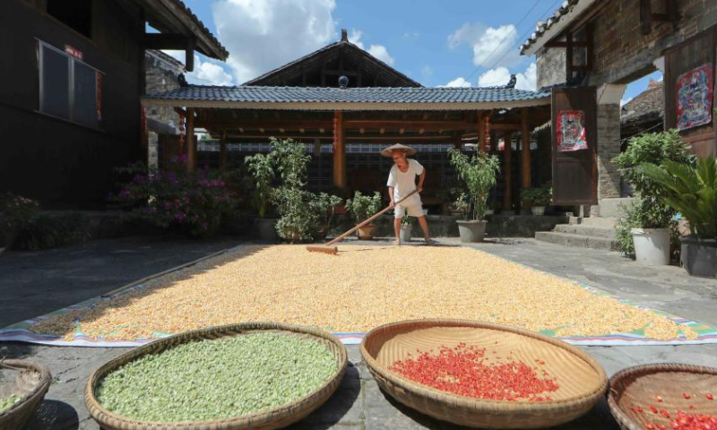 A villager dries corn, peppers and other crops at Yayuan Village of Cengong County, Qiandongnan Miao and Dong Autonomous Prefecture, southwest China's Guizhou Province, on Aug. 13, 2022. Photo: Xinhua