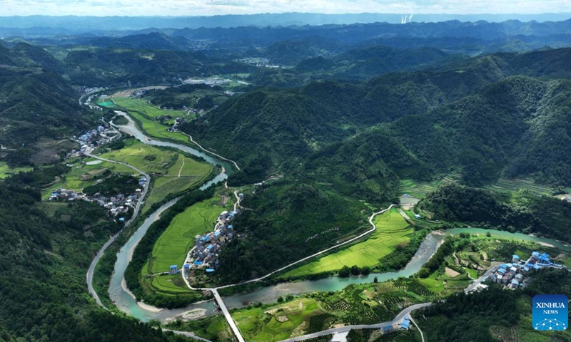 Aerial photo taken on Aug. 11, 2022 shows a view of a hybrid rice seed production base in Zhouping Village of Qiandongnan Miao and Dong Autonomous Prefecture, southwest China's Guizhou Province.(Photo: Xinhua)