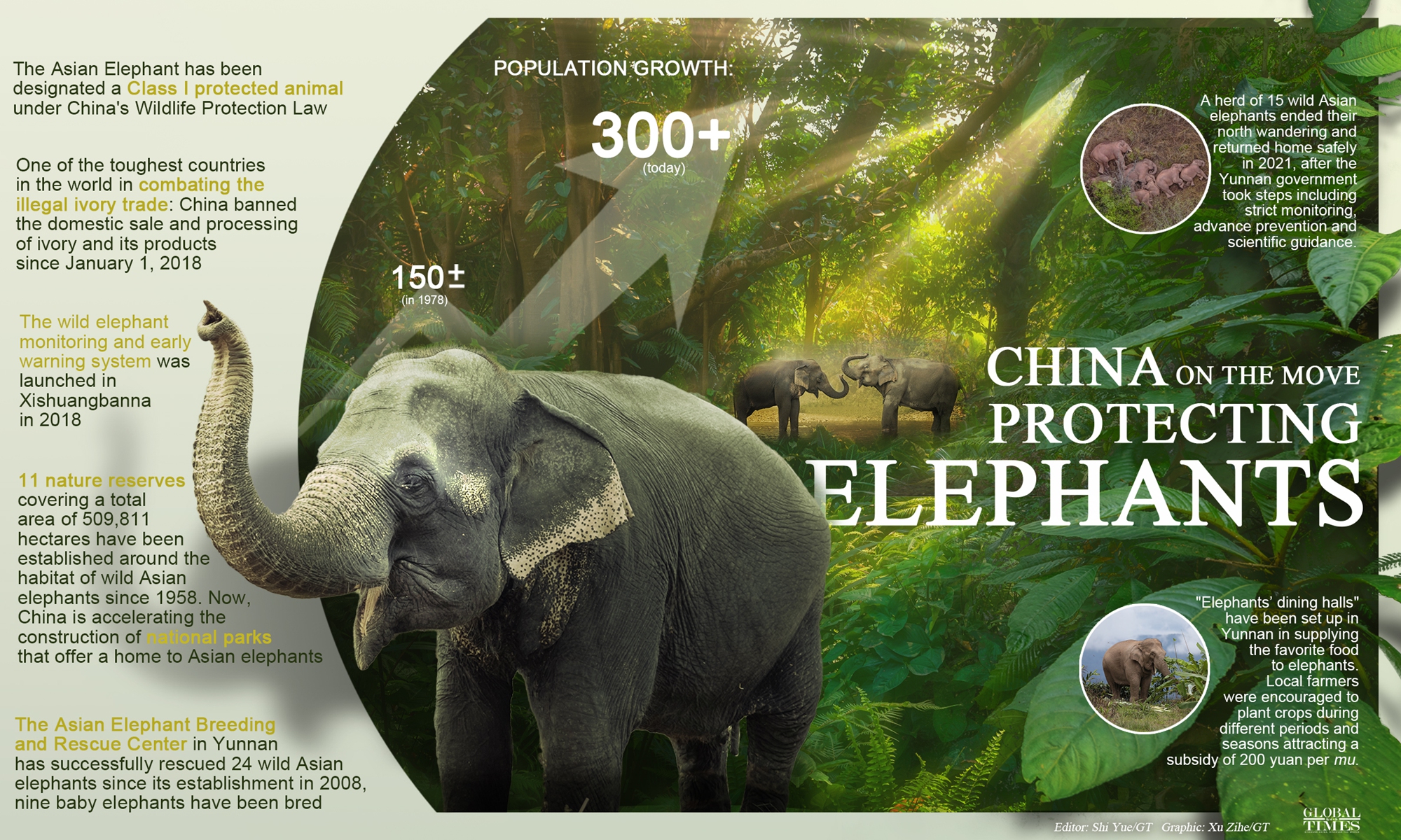 Protecting elephants, China on the move - Global Times