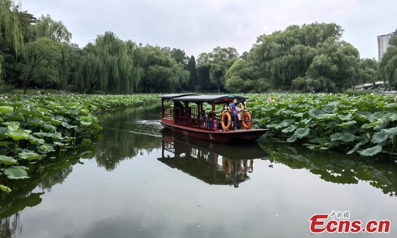 Tourists take boat to appreciate lotus flowers at Zizhuyuan (Purple Bamboo)Park in Beijing, Aug. 17, 2022. Visitors can enjoy a close look at the flowers by riding a boat in the ponds during the summer season. (Photo: China News Service/Zhao Jun)