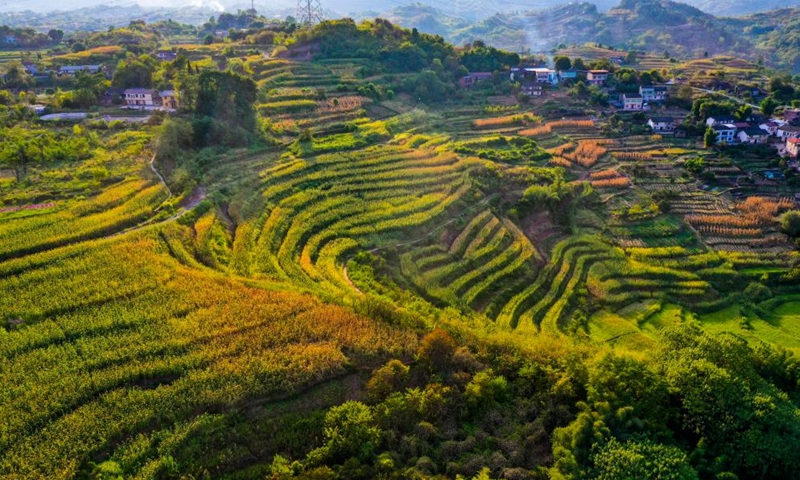 Scenery of Shiping Village in Chongqing, SW China - Global Times