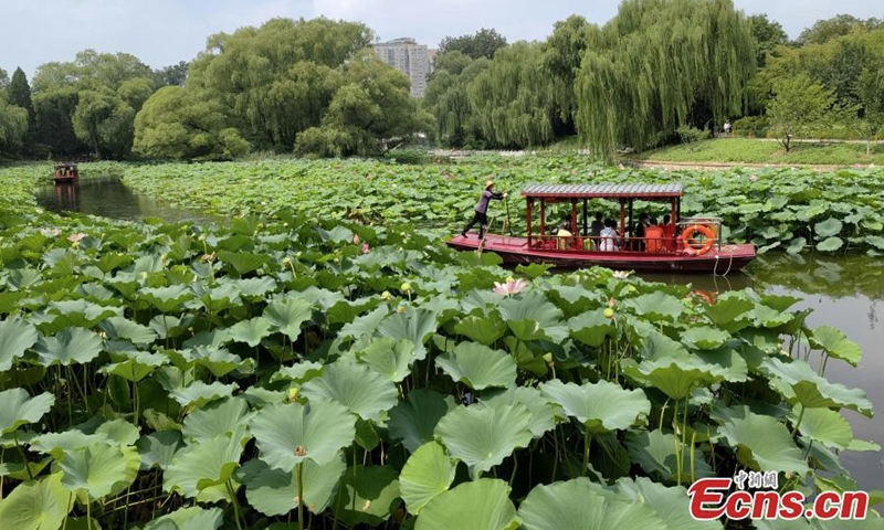 2022年8月17日，游客乘船在北京紫竹园（紫竹）公园赏荷。夏季，游客可以在池塘中乘船近距离观赏荷花。  （图片：中新社/赵军）