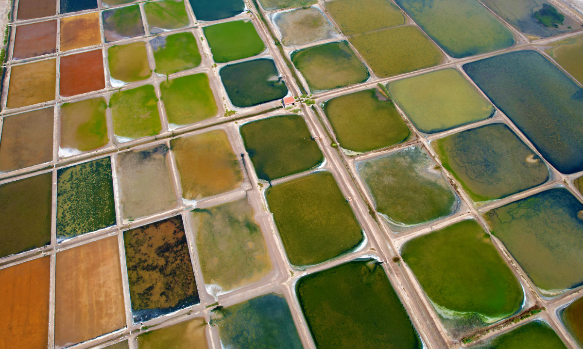 An aerial photo shows a salt field by the sea in Gangxi town, Rongcheng, East China’s Shandong Province on August 26, 2022. Photo: IC
