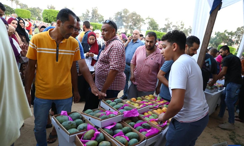 People visit a booth at a mango festival in Ismailia province, Egypt, on Aug. 19, 2022.Photo:Xinhua