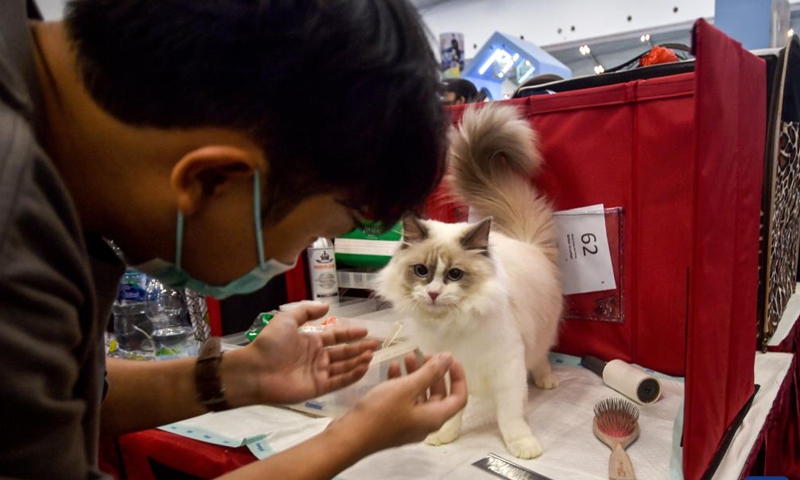 A man plays with his cat before a cat contest during the Indonesia International Pet Expo 2022 at Indonesia Convention Exhibition (ICE) in Tangerang, Indonesia, Aug. 27, 2022.Photo:Xinhua