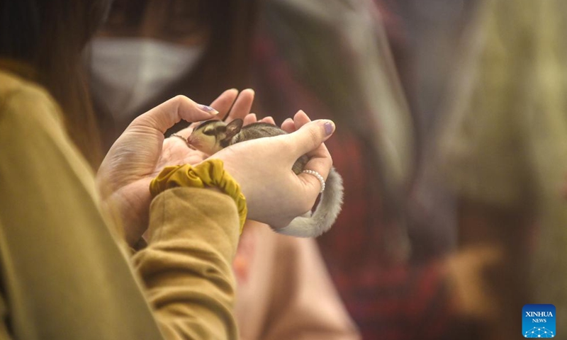 A woman touches a sugar glider during the Indonesia International Pet Expo 2022 at Indonesia Convention Exhibition (ICE) in Tangerang, Indonesia, Aug. 27, 2022.Photo:Xinhua