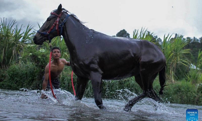 A teenager baths his horse before a traditional horse racing competition at Takengon in Aceh, Indonesia, Aug. 27, 2022.Photo:Xinhua