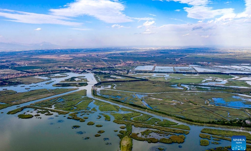 Scenery of Shahu Lake scenic spot in NW China's Ningxia - Global Times