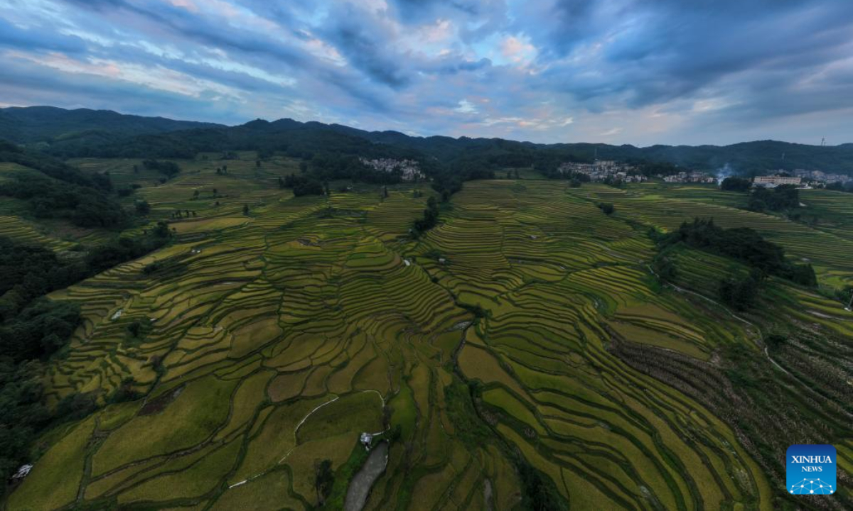 Aerial photo taken on Sep 7, 2022 shows a part of Hani terraced fields in Yuanyang County of Honghe Hani and Yi Autonomous Prefecture, southwest China's Yunnan Province. Photo:Xinhua