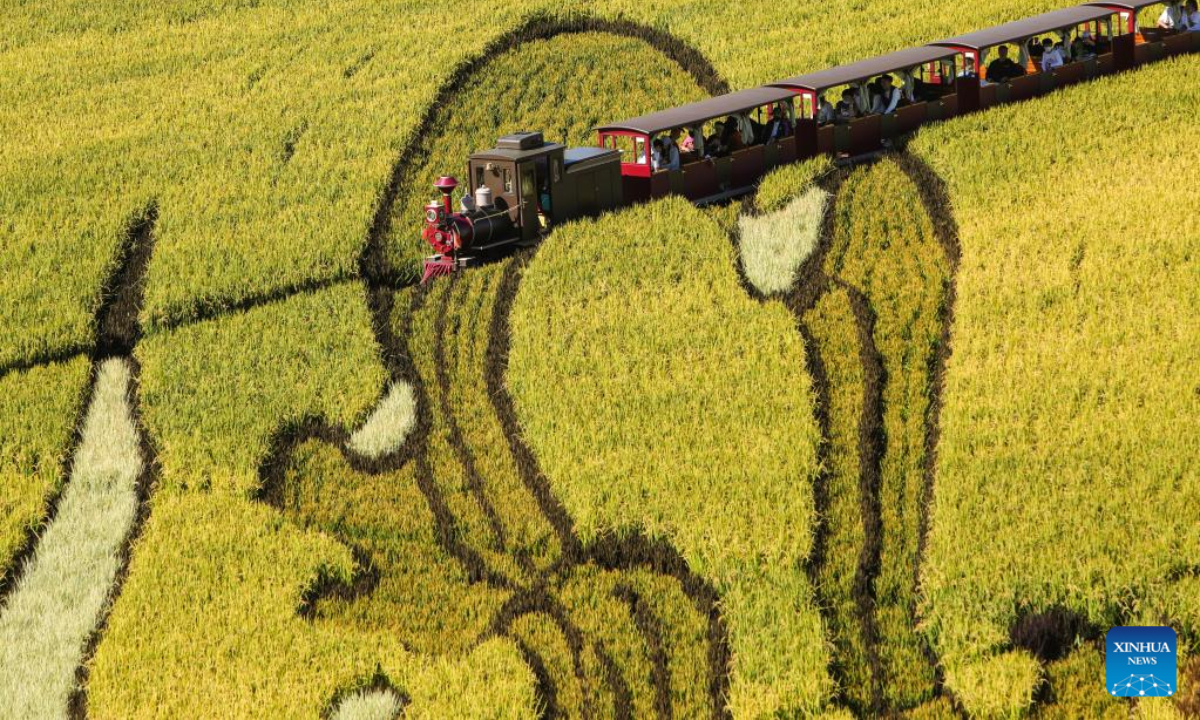 Photo taken on Sep 1, 2022 shows tourists viewing scenery on a train in paddy fields in Shenyang, northeast China's Liaoning Province. Photo:Xinhua