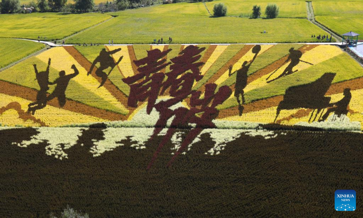 Aerial photo taken on Sep 1, 2022 shows the graphic in the paddy field in Shenyang, northeast China's Liaoning Province. Photo:Xinhua