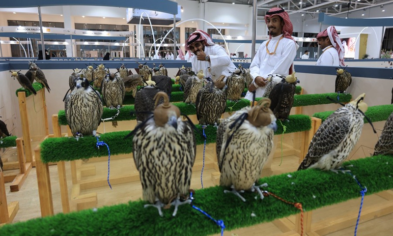 Photo taken on August.27, 2022 shows two falcon lovers admiring falcons at the International Saudi Falcons and Hunting Exhibition in Riyadh, Saudi Arabia.(Photo: Xinhua)