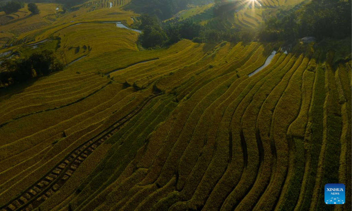 Aerial photo taken on Sep 7, 2022 shows a part of Hani terraced fields in Yuanyang County of Honghe Hani and Yi Autonomous Prefecture, southwest China's Yunnan Province. Photo:Xinhua