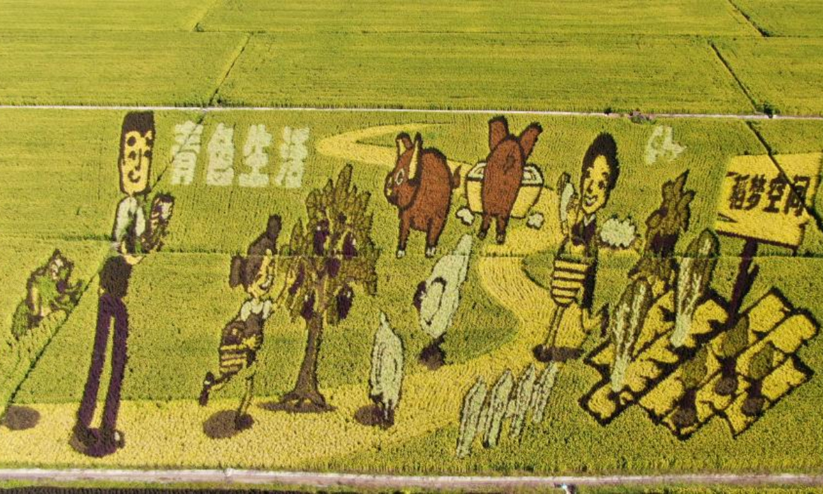 Aerial photo taken on Sep 1, 2022 shows the graphic in the paddy field in Shenyang, northeast China's Liaoning Province. Photo:Xinhua