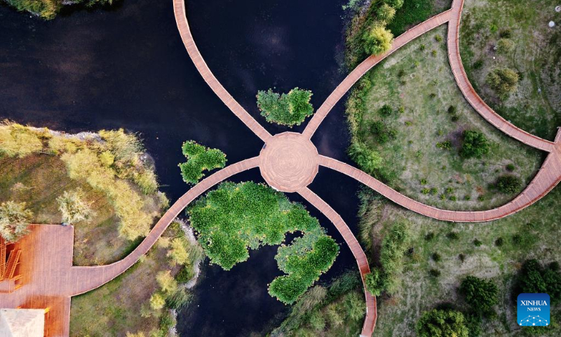 Aerial photo taken on Sept. 8, 2022 shows a scenery of the Fujin National Wetland Park in Fujin City of northeast China's Heilongjiang Province. (Xinhua/Wang Jianwei)