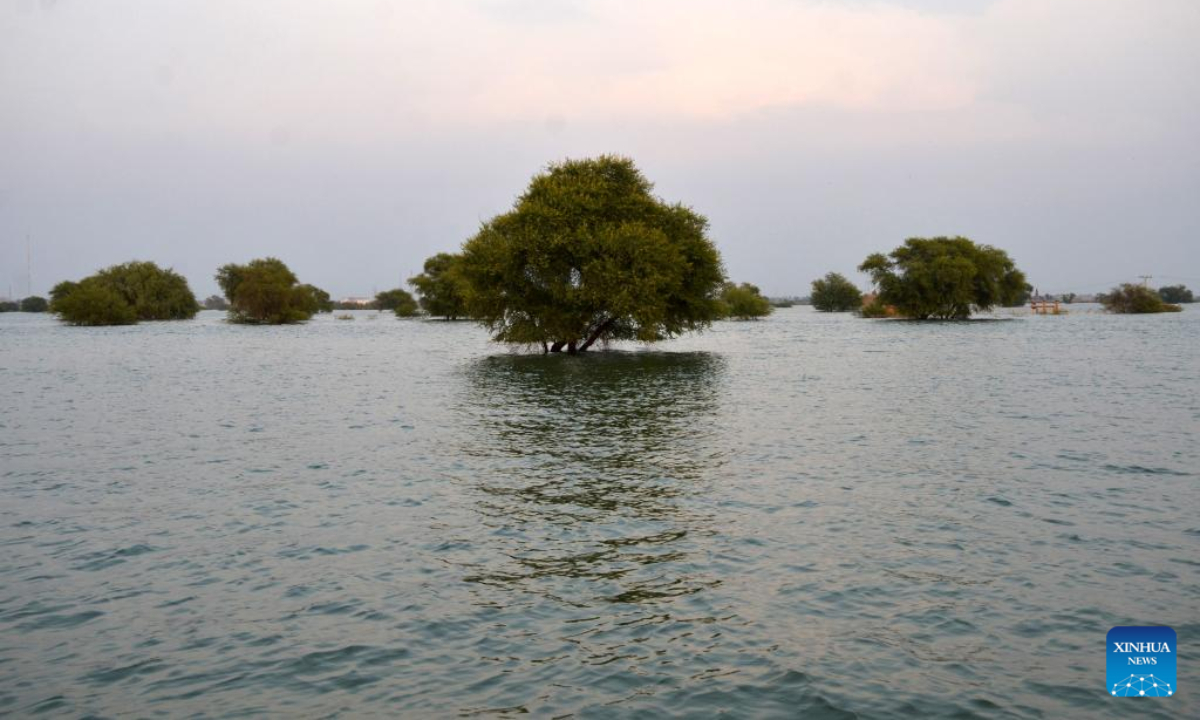 A flooded area is seen in Jamshoro district, Sindh province, Pakistan, Sep 15, 2022. At least 22 people were killed and nine others injured in heavy monsoon rain-triggered flash floods in the last 24 hours in Pakistan, the National Disaster Management Authority (NDMA) said. Photo:Xinhua